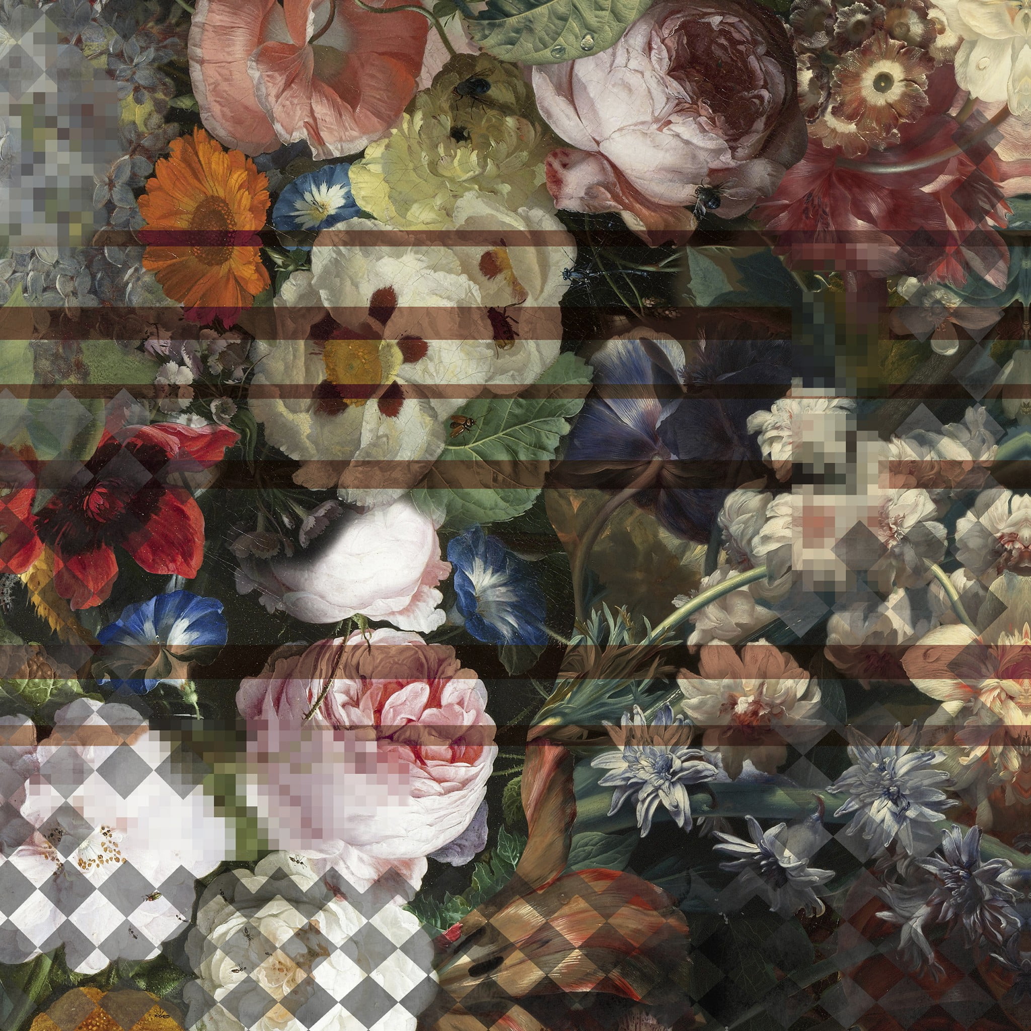 Eden Moooi Carpets