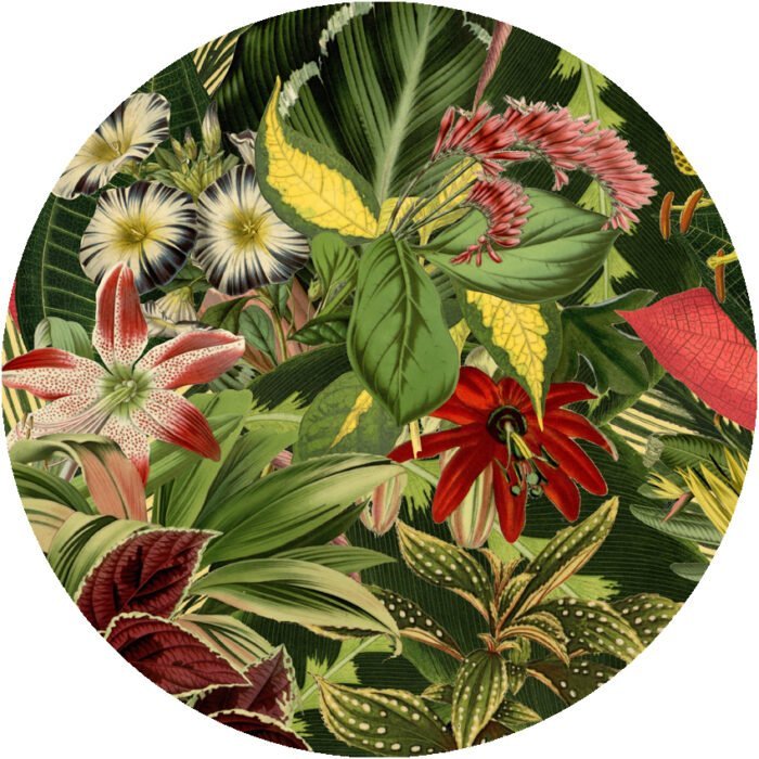 List Of Extinct Plants