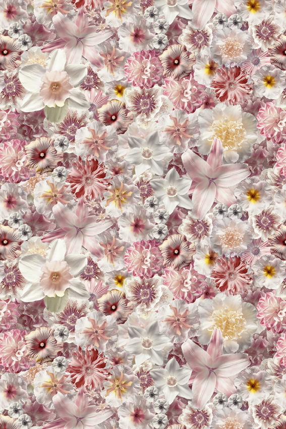 Flowergarden Rectangle - Moooi Carpets