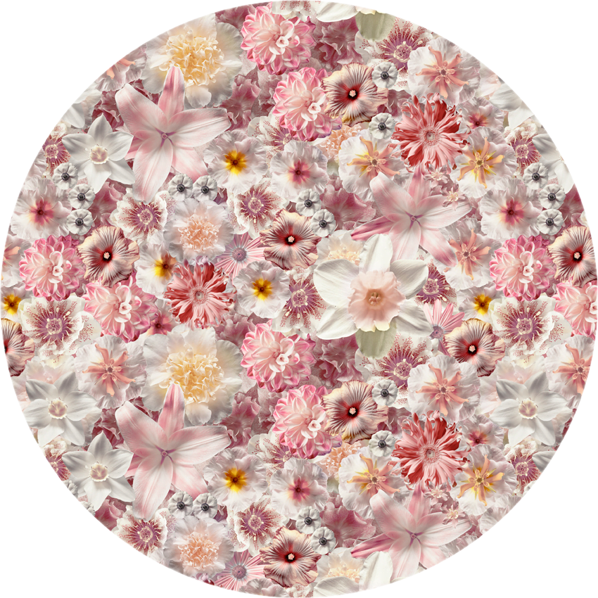 Flowergarden-Day-250-72DPI.png