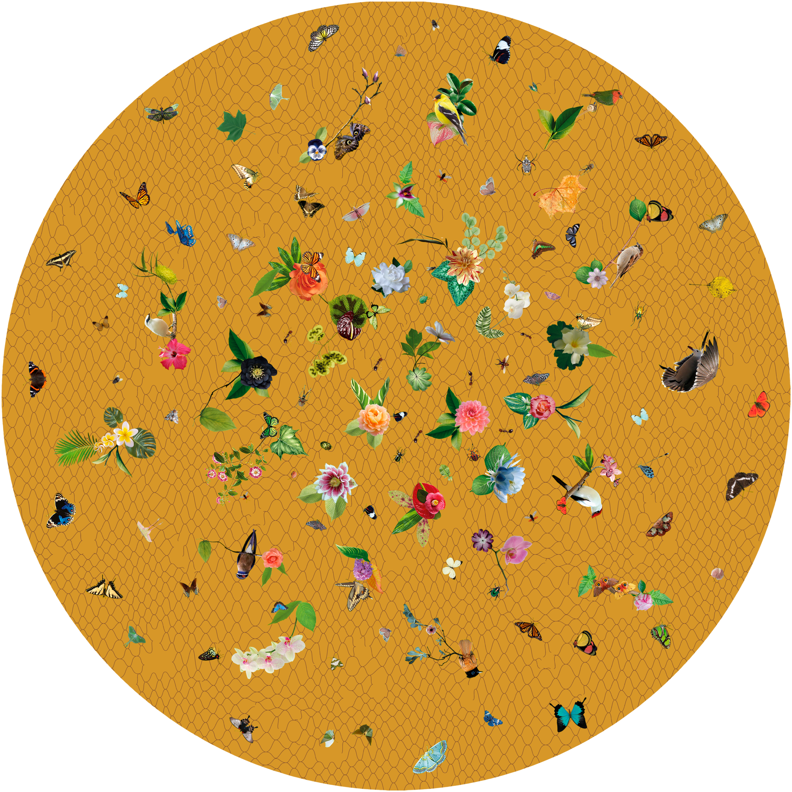 Garden of Eden Round - Moooi Carpets