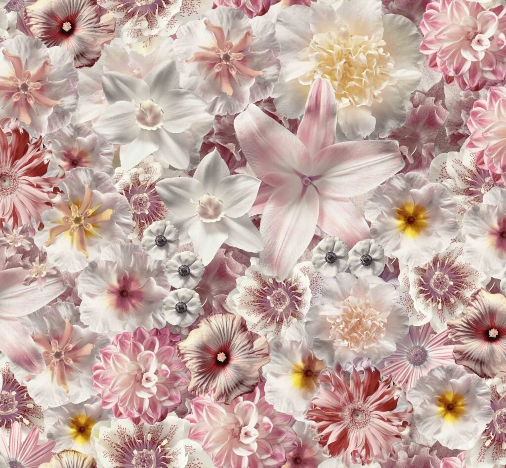 Flowergarden-Day-Broadloom-