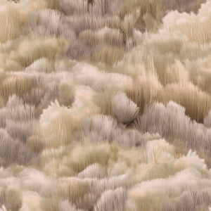 Beetle Dunes